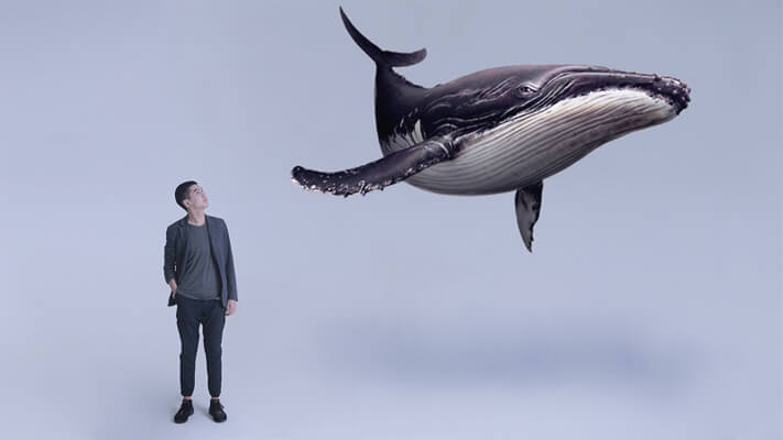 130 Kişiyi İntihara Sürükleyen Oyun Blue Whale