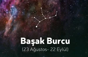 1569190696992.webp