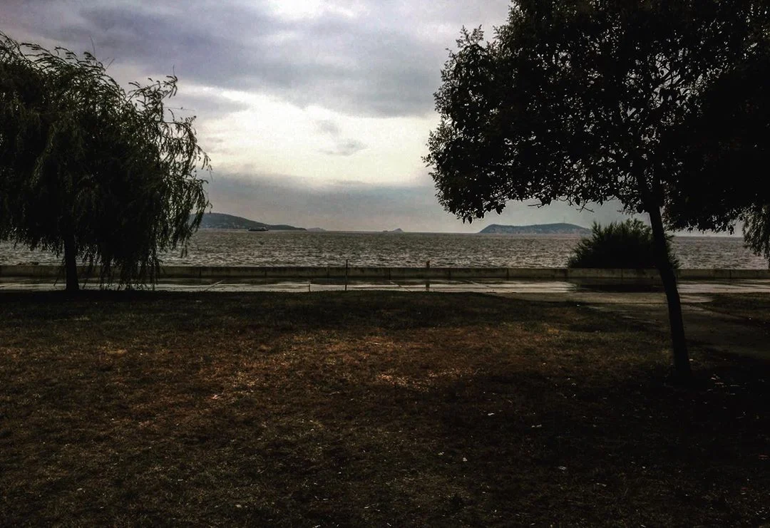 Ağaçlar Manzara