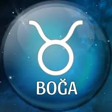 boğa.jpg