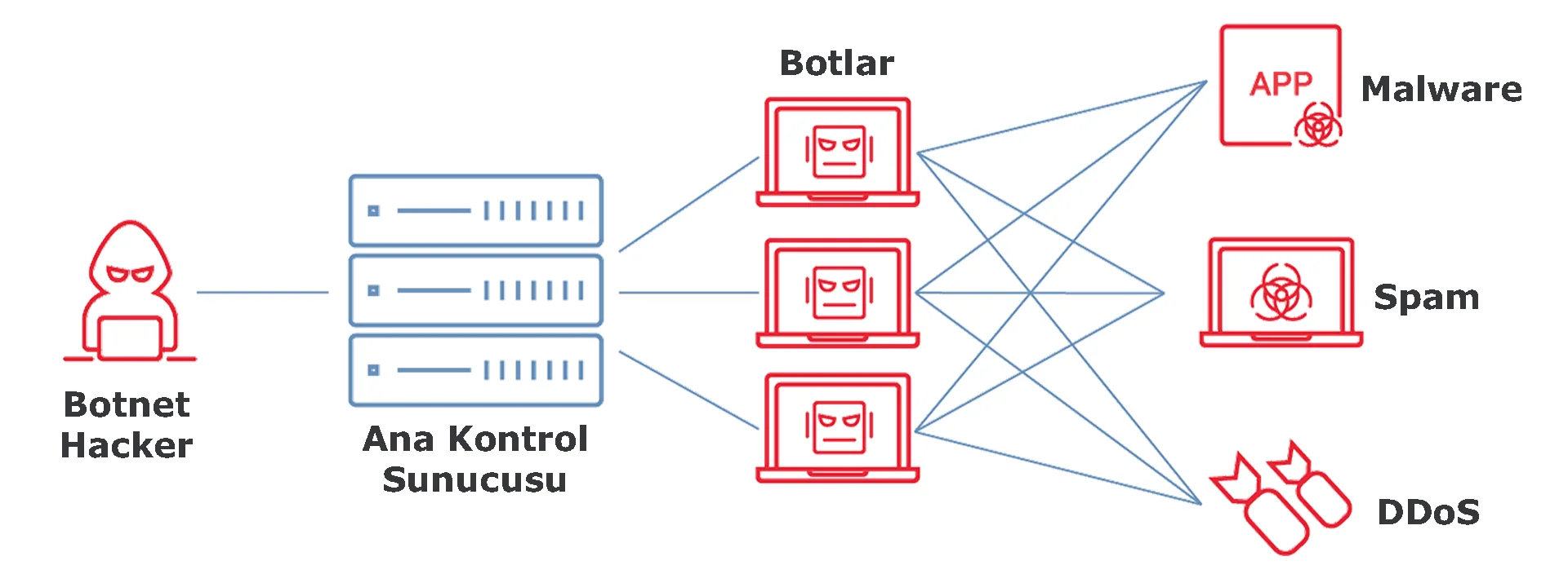 bot-nedir-botnet-nedir.jpg
