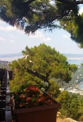 Büyükada