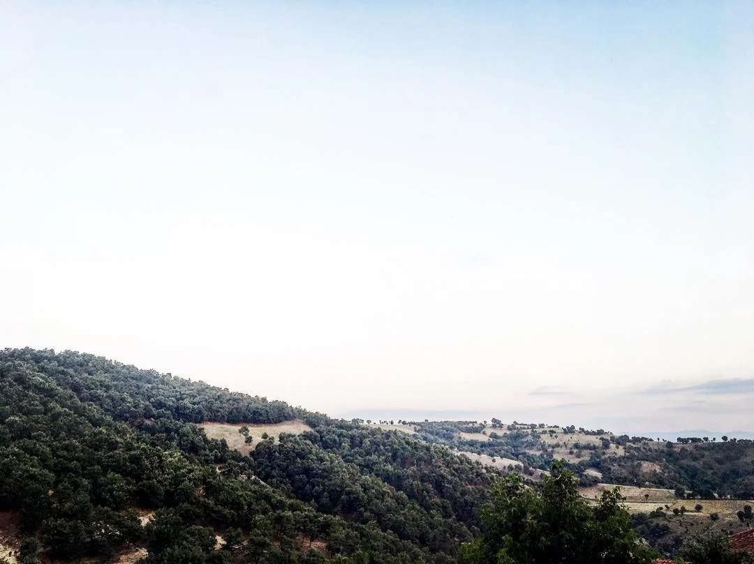 Dağ Manzarası