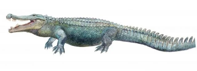 Deinosuchus