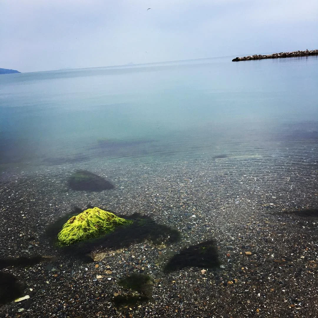 Deniz Manzarası