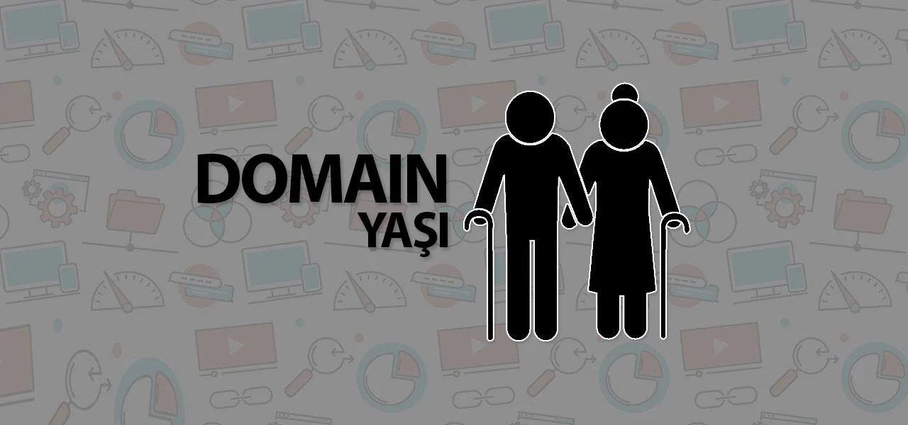 Domain Yaşının SEO’ya Etkileri Nelerdir