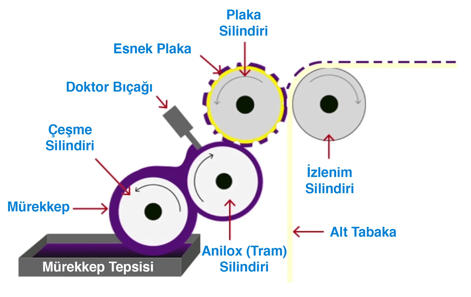 flekso-baski-nedir.webp