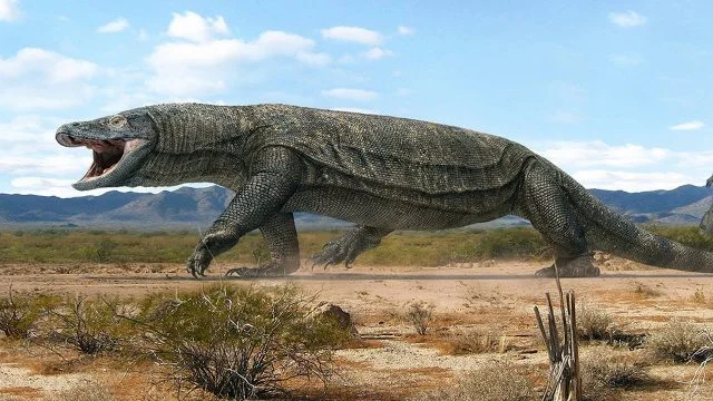 Megalania