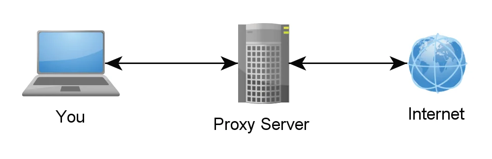 Proxylerin Kullanım Amaçları