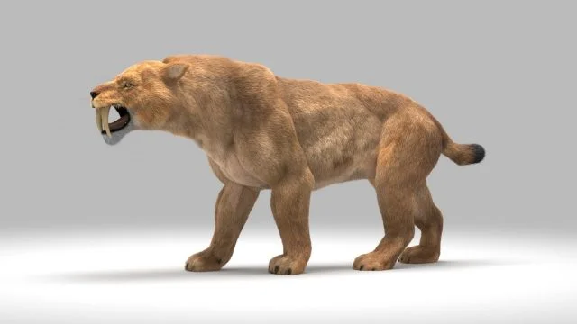 Smilodon