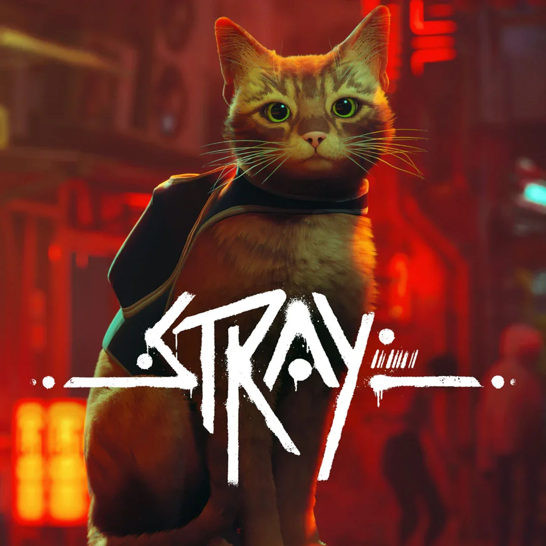 Stray Sistem Gereksinimleri