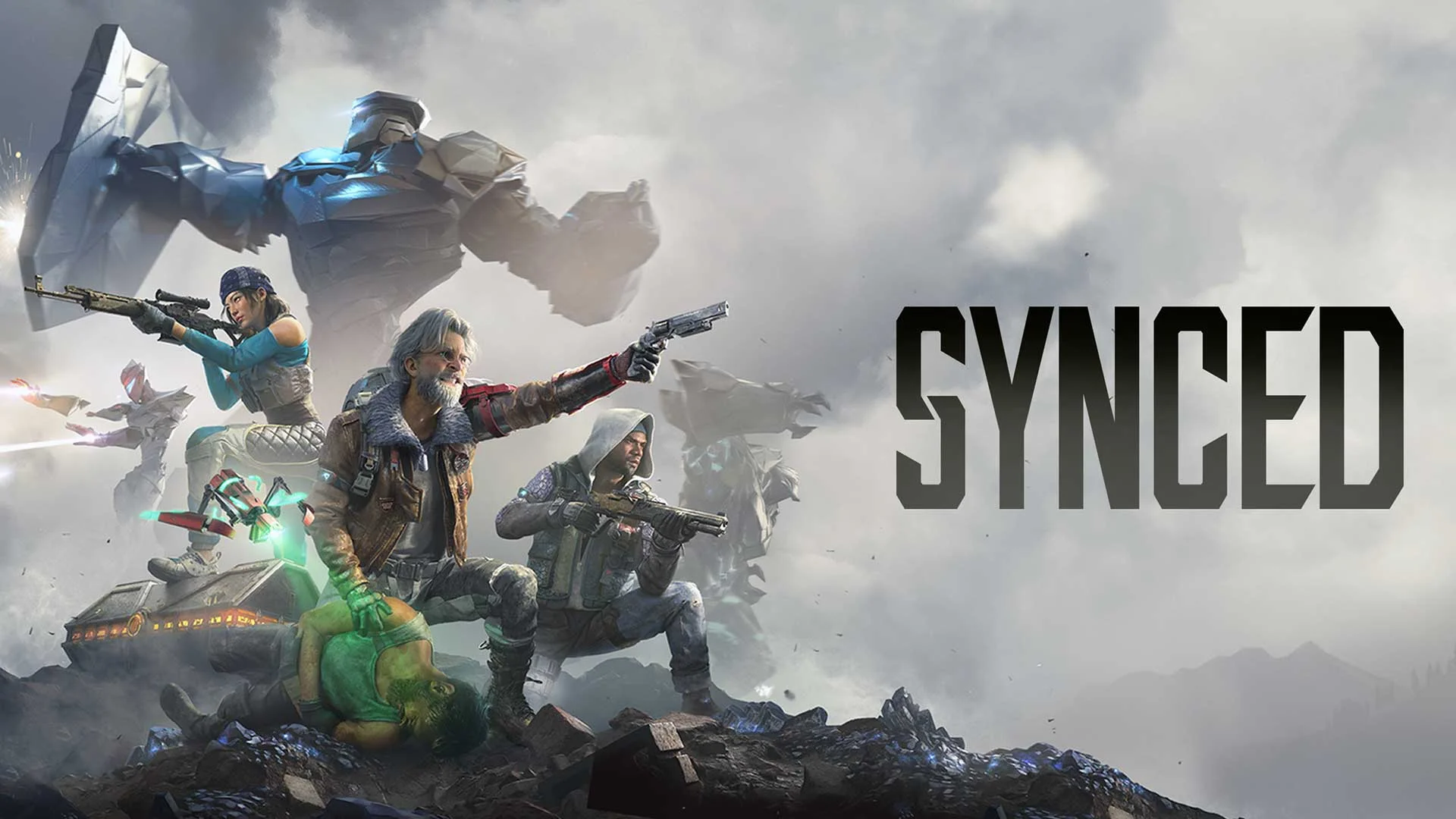 SYNCED Sistem Gereksinimleri